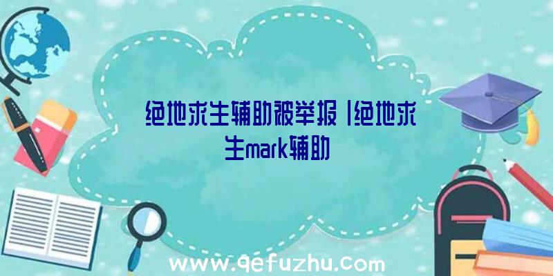 「绝地求生辅助被举报」|绝地求生mark辅助